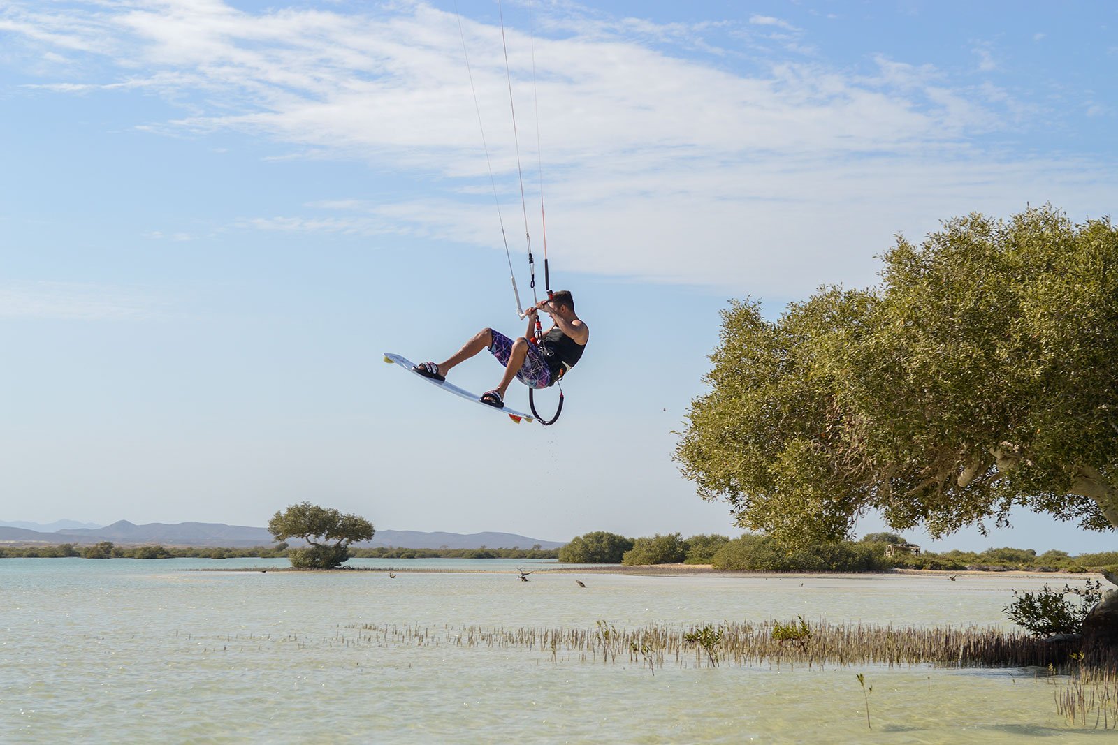 Berenice Kitesurf Mangrovie